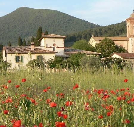La Palombaia Guest House Spoleto Exterior photo